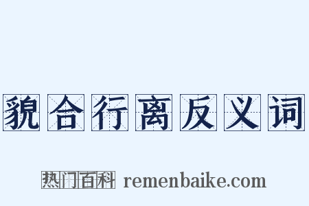 貌合行离反义词是什么意思的图片